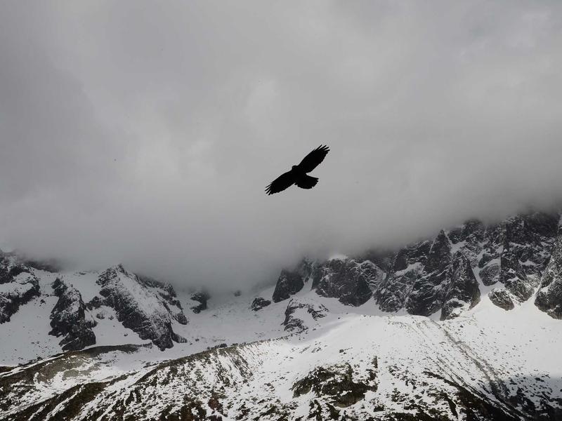 记忆碎片<br>bcxjjkz.cn 植入体真伪辨